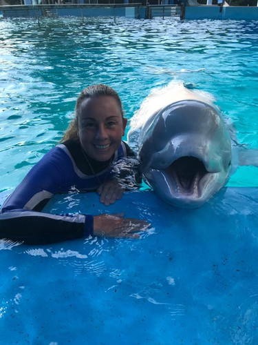 32464496 10160267684360244 1783341949684547584 n.jpg