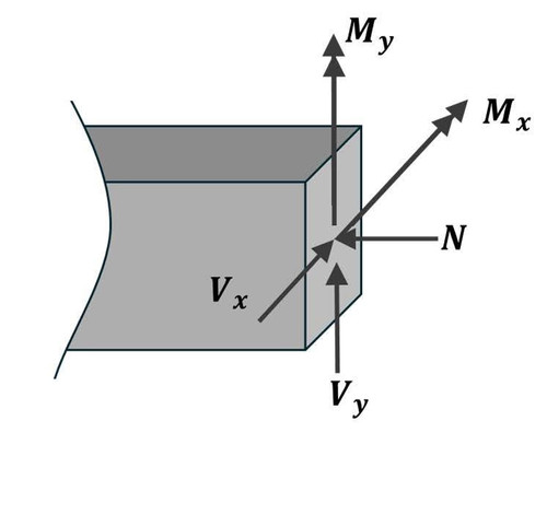 images%2Fimage 1744402393059.jpg