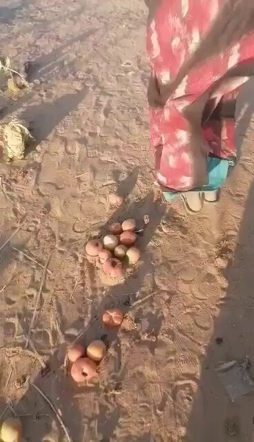 zy7NqbJKYmqogxUG.jpg