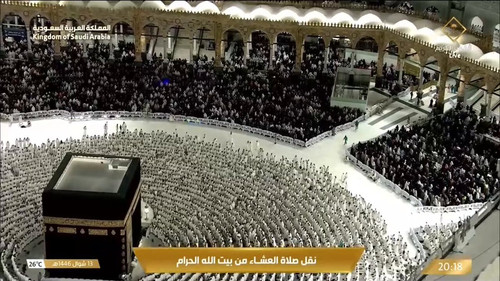 MwdP TJCP6n7v4go.jpg