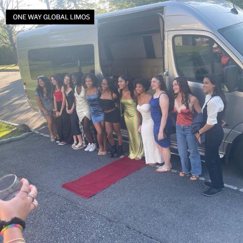 One Way Global Services: Ultimate Party Bus Experience in Bloomfield.jpg