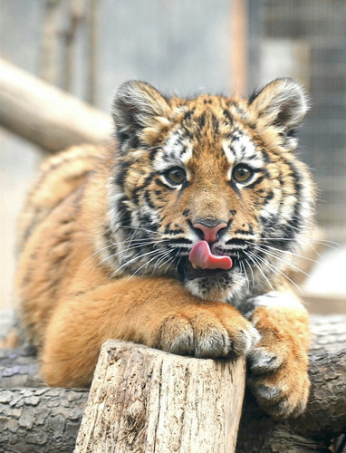 Screenshot 20250412 105843.jpg