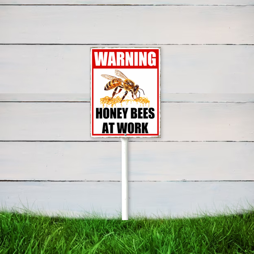 22 nsywd203vwe050412vw 13.png