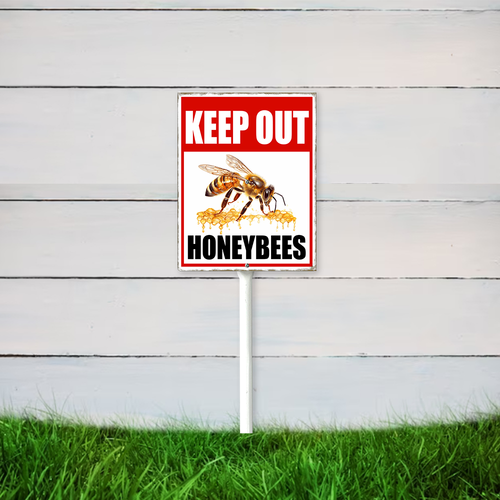 22 nsywd203vwe050412vw 11.png