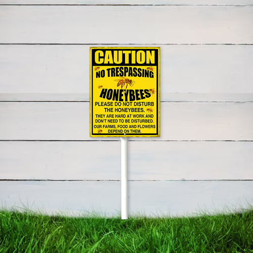 22 nsywd203vwe050412vw 19.png