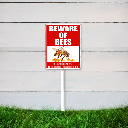 22 nsywd203vwe050412vw 15.png