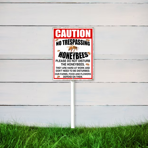 22 nsywd203vwe050412vw 20.png