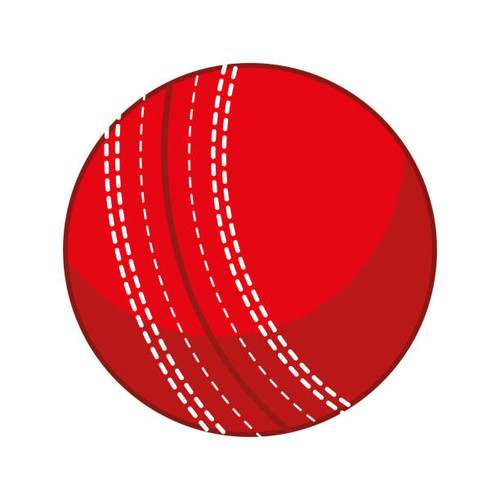 ball for cricket.jpg
