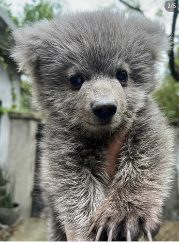 Screenshot 20250412 113530.jpg