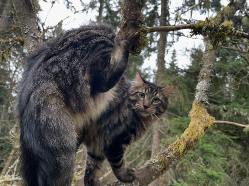 489418100 18493996030023853 8030451927702037064 n.jpg