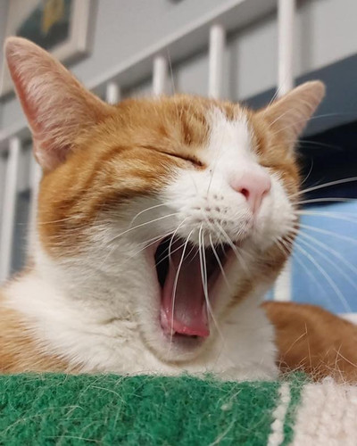 491100451 1101650268668054 8949064301147805286 n.jpg