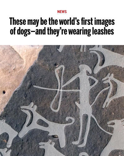 GoQkitjX0AAwqCI.jpg