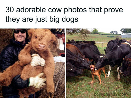 1 (1).jpg