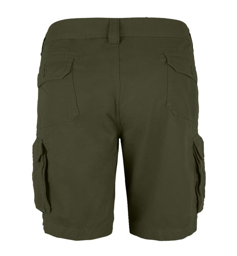 Olive 4.jpg