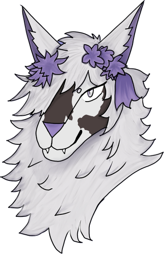 IMG 5807.png