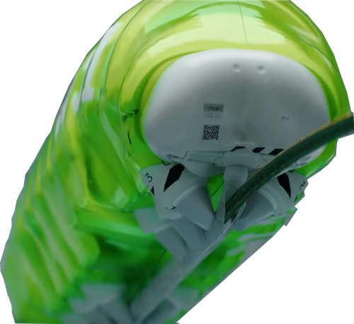 benjamin worm.png