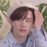 IMB fli4qL.gif
