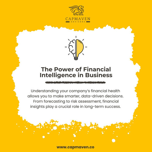 Power of Financial Intelligence in Business by Capmaven.jpg