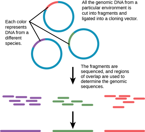 fc5c1d4a062fdb84fa2c2a481f5b101f5890620d.png