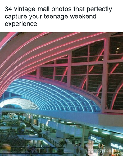 269d117e c30e 4e4e be03 3fbb192048c8.png