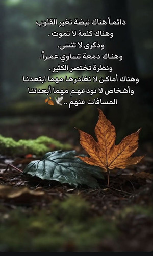 GoQAgfeaQAAGnil.jpg