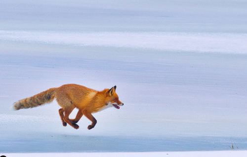 Opera Снимок 2024 09 25 074406 gurushots.com.png