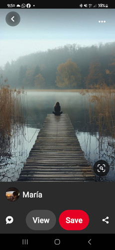 Screenshot 20250411 215008 Pinterest.jpg
