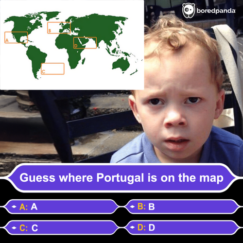image (1).png