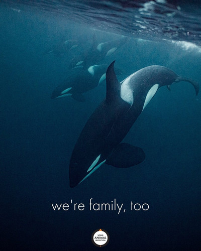 GoNiNppWoAAiiKX.jpg