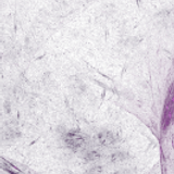 Talal Alanazi QY3 (Small).png