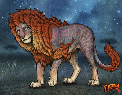 lioden wardrobe (14).png