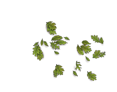 leafy overgrowth teenm.png