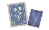 Untitled design (4).png