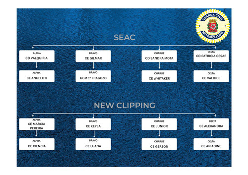 seac newclip page 0001.jpg