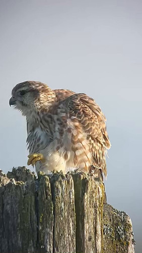 9P ouFu mdISGYJm.jpg