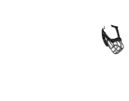 muzzleposes2.png