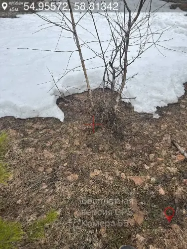 Без названия (1).webp