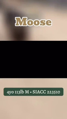 4meTqSx9H57c0ij5.jpg