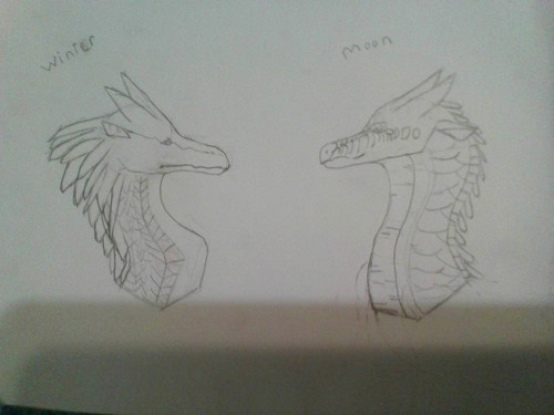 IMG 20201017 193206.jpg