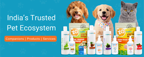 Home Page Banner 1 (1).png