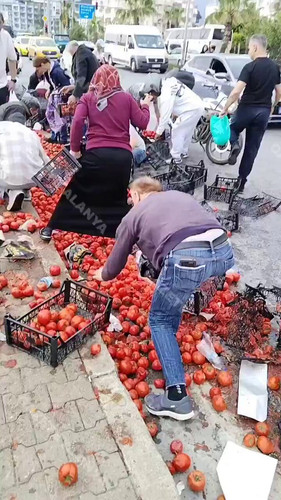 1yUJSFu wnanqu2o.jpg