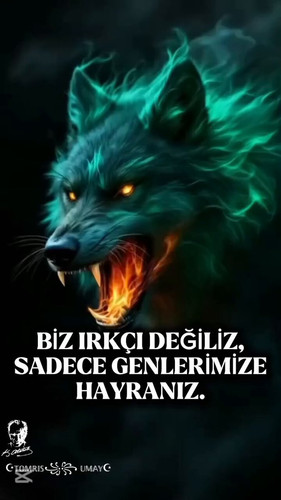 0yjns8RzpLCem9Xw.jpg