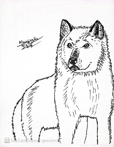 CamScanner 12.04.2025 21.41 2.jpg
