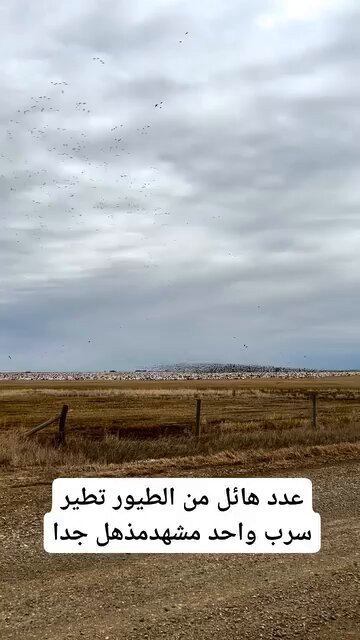 944Shl1kTeEnz8Wq.jpg
