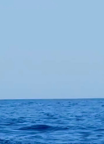 CU nWs2RqbEMHdMv.jpg