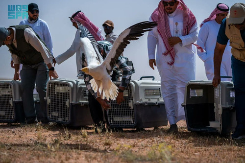 GoLmb6MXgAAe K9.jpg