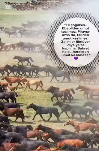 7ykqK EC2t2zJ0zK.jpg