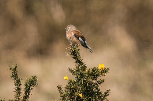 GoPrsn5XQAEMmTp.jpg