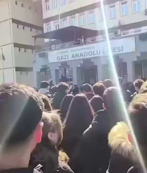 mL3 wEUmZV2rIQYv.jpg