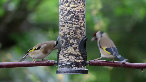 9YnaNxgMb4KJWDY .jpg